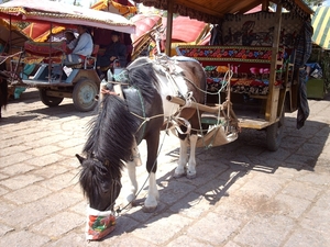 4 Lijiang_omgeving_bergdorpje_Bashua_IMAG0475