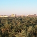 1  Palmyra _zicht op de site vanuit oase