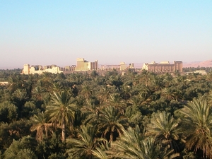 1  Palmyra _zicht op de site vanuit oase