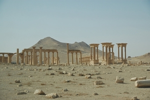 1  Palmyra _zuilenrij _