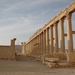 1  Palmyra _zuilenrij __