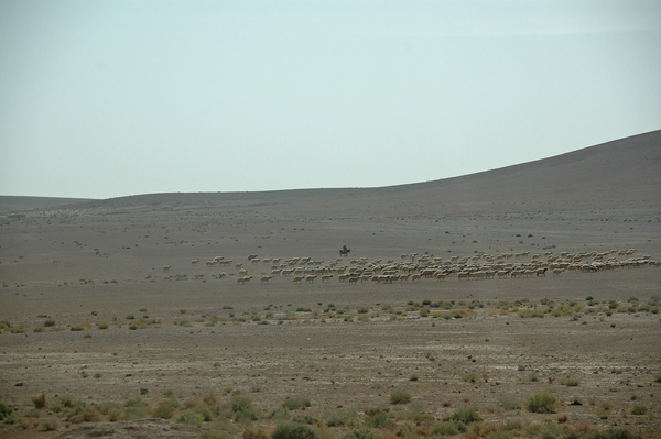 1x Palmyra -- Homs _woestijn tussen Damascus en Palmyra