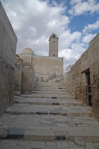 2  Aleppo _ citadel _trappen