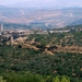 3b Hama -- Apamea _landschap