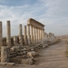 3d  Apamea _Romeinse stad _site zicht