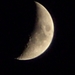 BILD0306