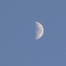BILD0345