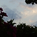 BILD0424
