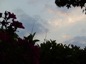 BILD0424
