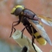 BILD0819