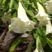 BILD0742