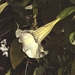 BILD0733