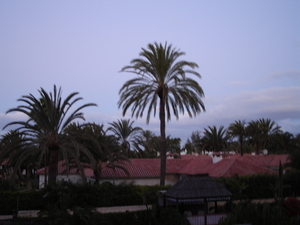 Playa del Ingls morgenstond