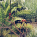 Palmolitos Parc