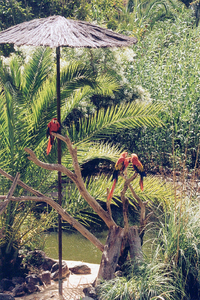 Palmolitos Parc