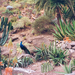 Palmolitos Parc