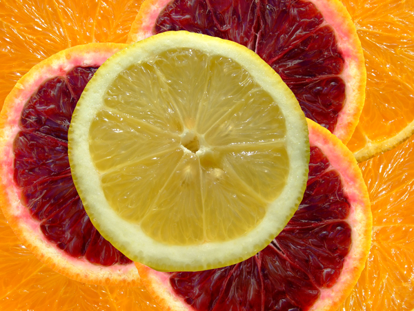 Citrusvruchten,sinaasappel,citroen,pompelmoes,fruit,vrucht