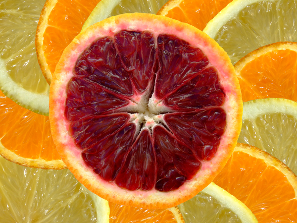 sinaasappel,citroen,pompelmoes,fruit,vrucht