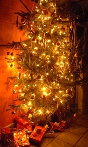 kerstboom met verlichting