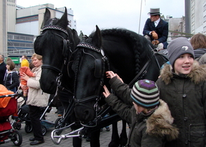 Sint-16