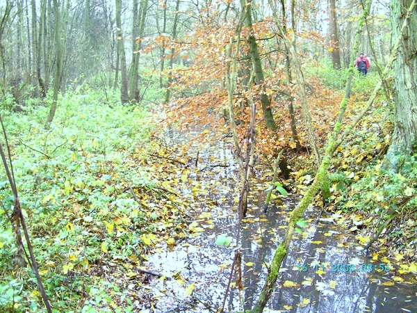 2008-11(nov) 16 Schilde 004