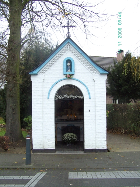 2008-11(nov) 16 Schilde 007