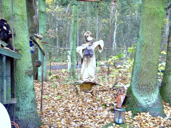 2008-11(nov) 16 Schilde 021