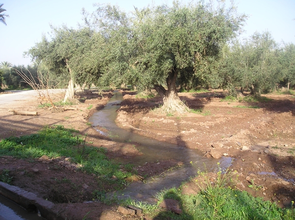 P3030016