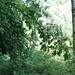 DSC00902