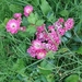 DSC00903