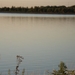 DSC00996