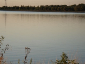 DSC00996
