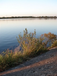 DSC01007