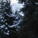 DSC01080