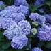 DSC01171