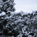DSC01290