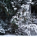 DSC01301