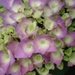DSC01407