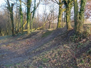 DSC00564