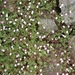 DSC00831