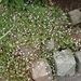 DSC00832