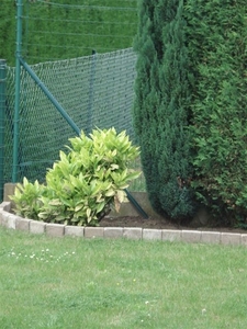 DSC00849