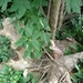 DSC00850