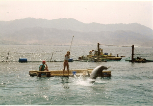 1992-In Jordani