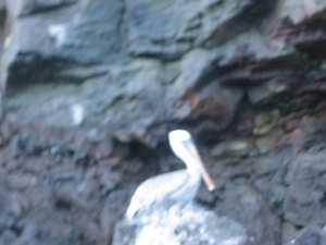 102-0230_IMG