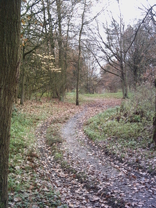 PICT0019