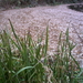 PICT0060