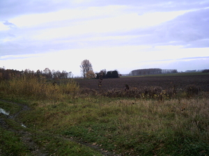 PICT0063