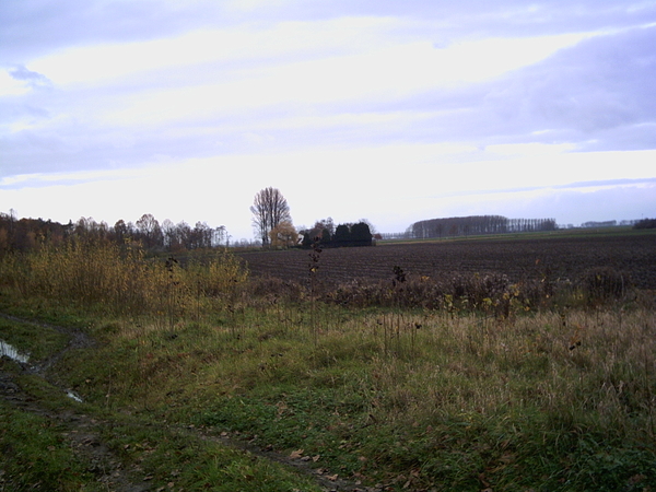 PICT0063
