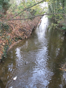 de eede maldegem 003